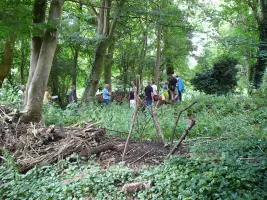 in het bos.webp
